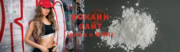 apvp Алзамай