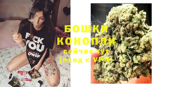 экстази Гусь-Хрустальный