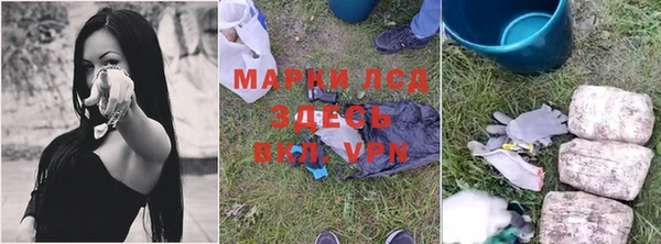 apvp Алзамай