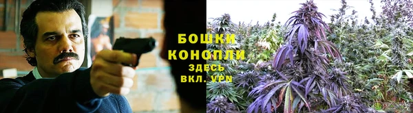 крисы Карталы