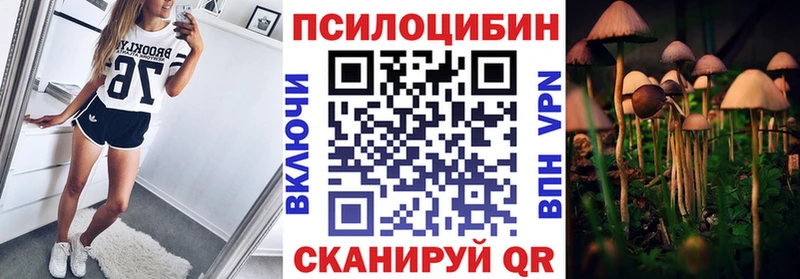 Галлюциногенные грибы Cubensis  Апшеронск 